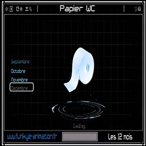 12 mois — Papier WC