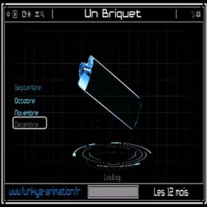 12 mois — Briquet