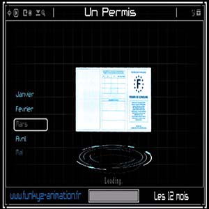 12 mois — Permis de conduire