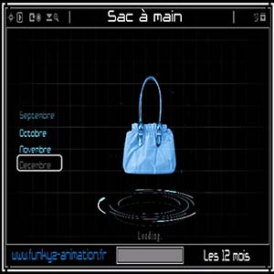 12 mois — Sac à main