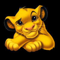 Symba — le roi lion