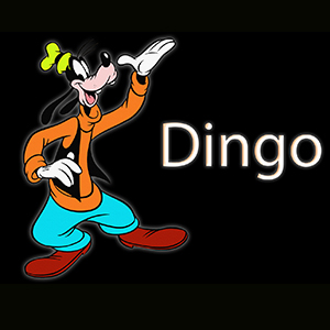 Dingo — Dingo
