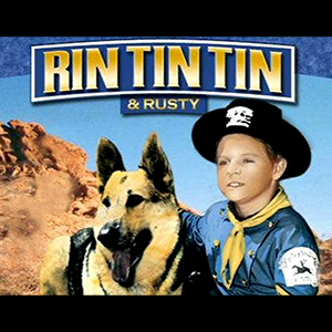 Rintintin