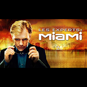 Les experts miami